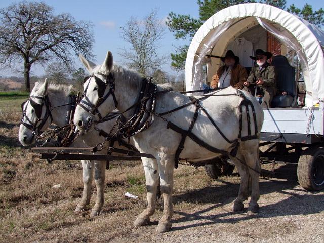 116-Ass Driving Asses.jpg